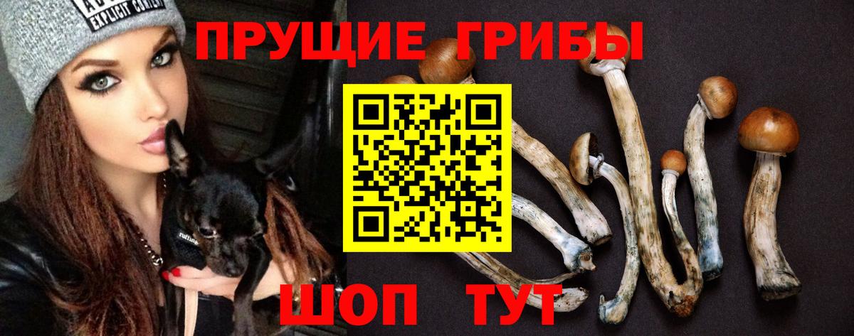Псилоцибиновые грибы Cubensis  Вход с VPN  Кирово-Чепецк 
