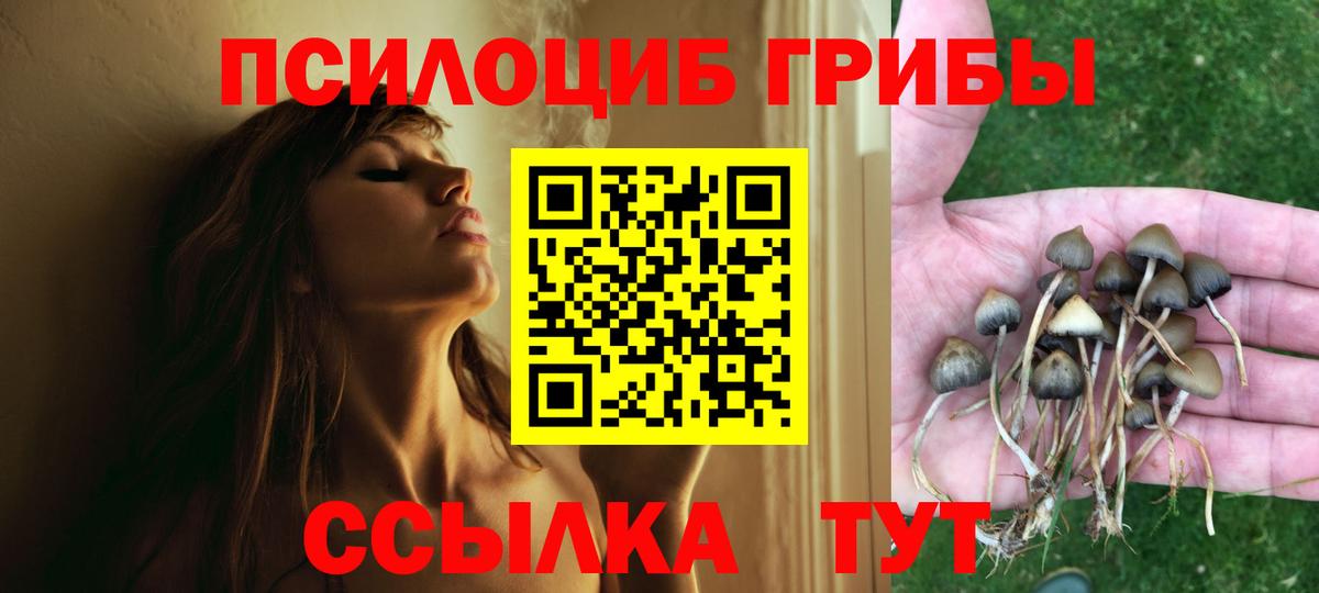 Галлюциногенные грибы мухоморы Кирово-Чепецк
